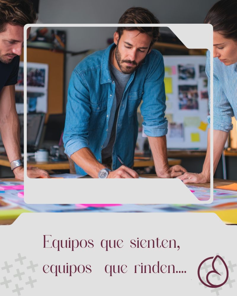  EQUIPOS QUE SIENTEN, EQUIPOS QUE RINDEN.